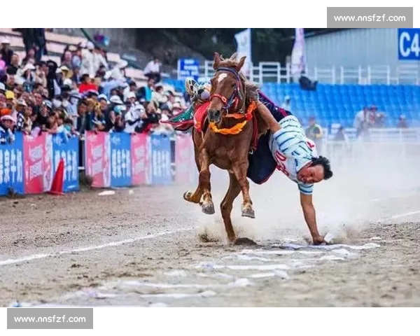 大理四季户外：骑行策马划艇逐风